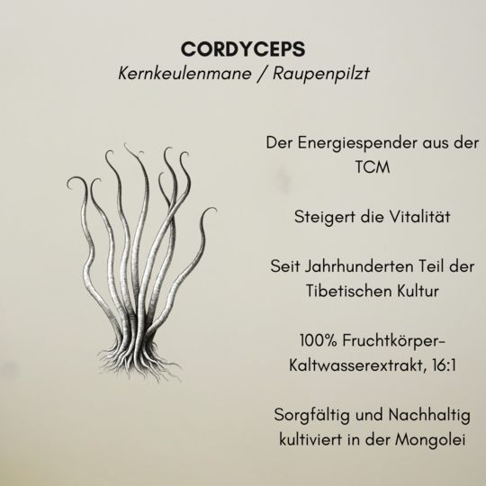 Flow-State Pilzkakao – Bild 4